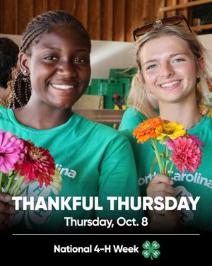 Image post by @northcarolina4h on Instagram
