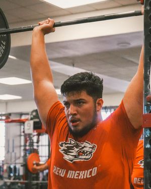 Image post by @unmlobofb on Instagram