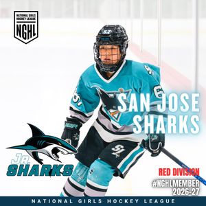 Image post by @nghlhockey on Instagram