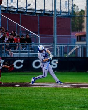 Image post by @kangaroo_baseball on Instagram