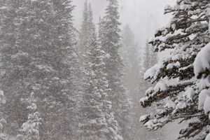 Image post by @pcski on Instagram