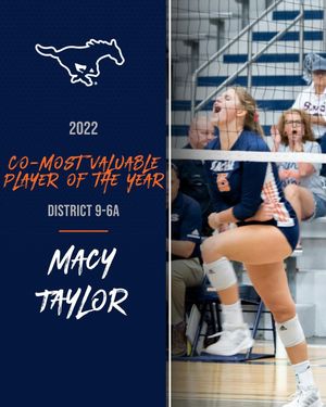 Image post by @sachsevolleyball on Instagram