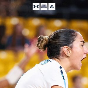 Image post by @ospreysvb on Instagram