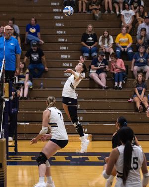 Image post by @msubobcatsvb on Instagram