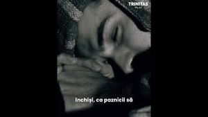 Video post by @trinitastvoficial on YouTube
