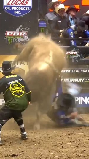 Video post by @pbr on Facebook