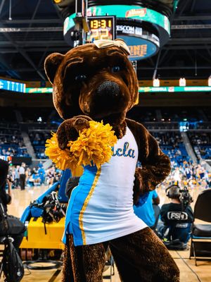 Image post by @uclaspiritsquad on Instagram