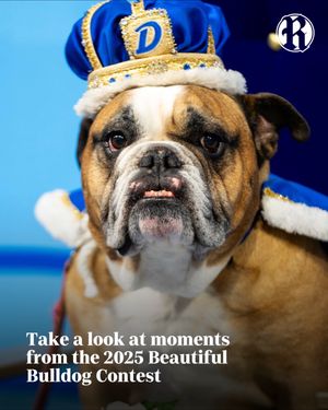 Video post by @dmregister on TikTok
