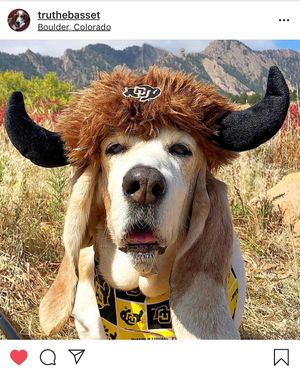 Image post by @cubuffs on Instagram