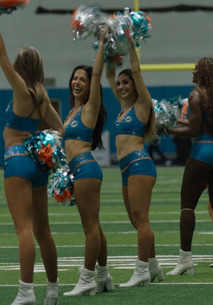 Video post by @dolphinscheer on TikTok