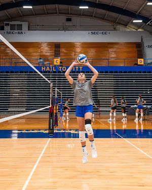 Image post by @pitt_vb on Instagram