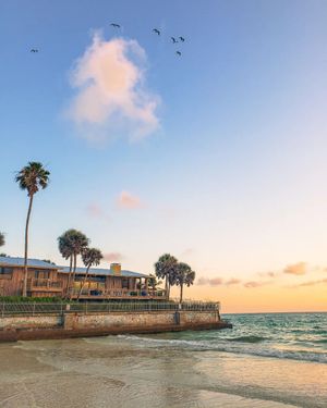 Image post by @visitsarasotacounty on Instagram