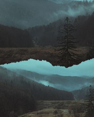 Image post by @mismocat on Instagram