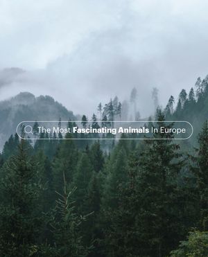 Video post by @ifawglobal on TikTok