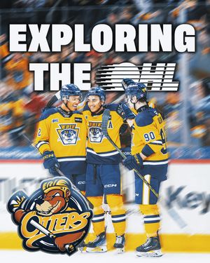 Image post by @OHLHockey on Twitter