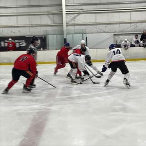 Image post by @usphlhockey on Instagram