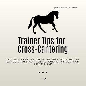 Image post by @theplaidhorsemag on Instagram