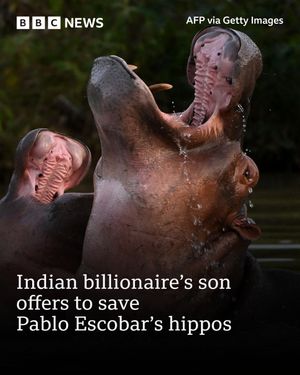 Image post by @bbcnews on Instagram