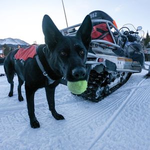 Image post by @breckenridgemtn on Instagram