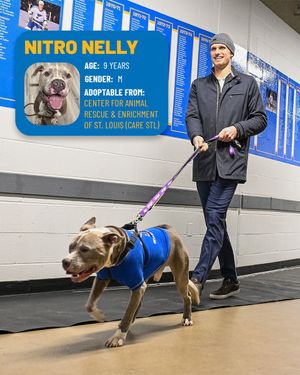 Image post by @StLouisBlues on Twitter