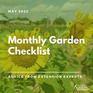 Image post by @txextension on Instagram