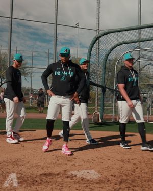 Image post by @dbacks on Instagram