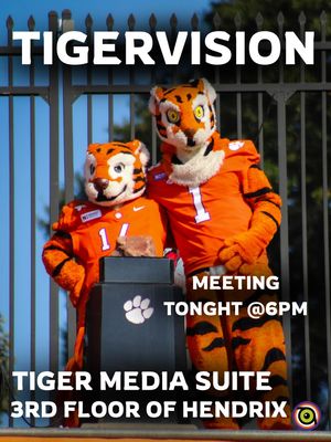 Image post by @cutigervision on Instagram