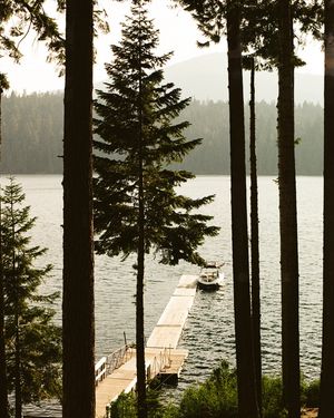 Image post by @lauraroze on Instagram