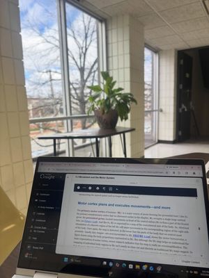 Image post by @marshallulife on Instagram