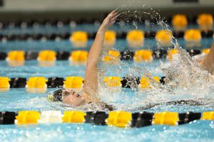Image post by @IowaSwimDive on Twitter