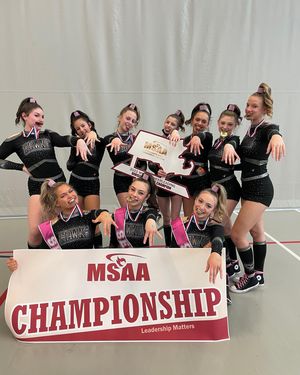 Image post by @bhshawkscheer on Instagram