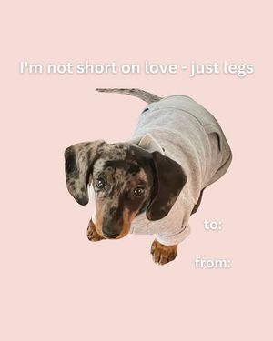 Image post by @milliebdesigns on Facebook