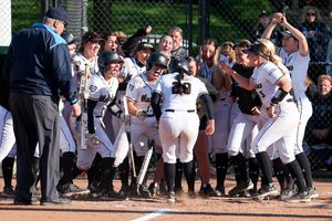 Image post by @gomastodons on Instagram