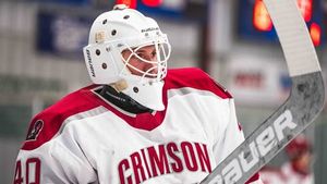 Image post by @iuphockey_d1 on Instagram