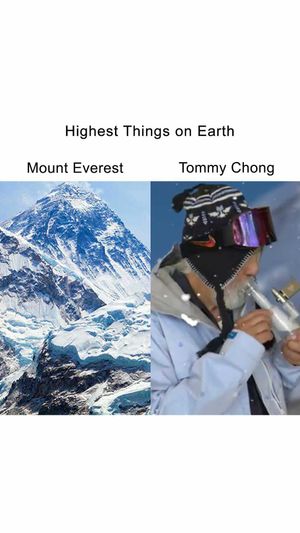 Video post by @cheechandchong on Instagram
