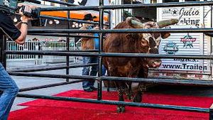 Video post by @pbr on YouTube