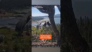 Video post by @accuweather on YouTube