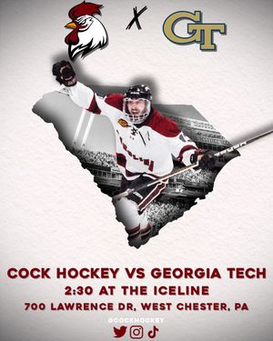 Image post by @CockHockey on Twitter