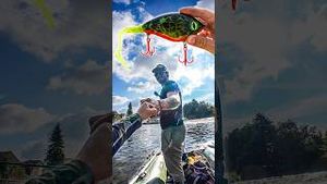 Video post by @jonasederfishing on YouTube