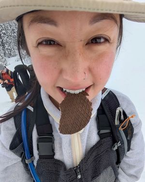 Image post by @honeystinger on Instagram