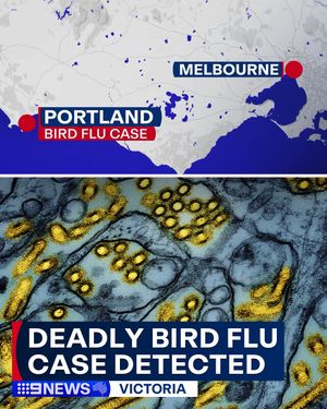 Image post by @9newsmelbourne on Instagram