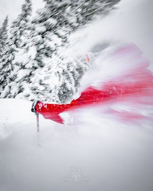 Image post by @noahwetzel on Instagram