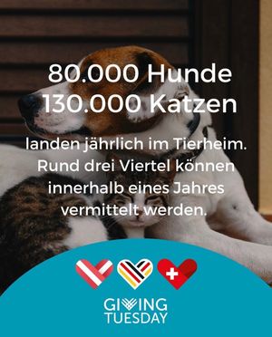 Image post by @givingtuesday on Instagram