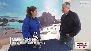 Video post by @newsday on YouTube