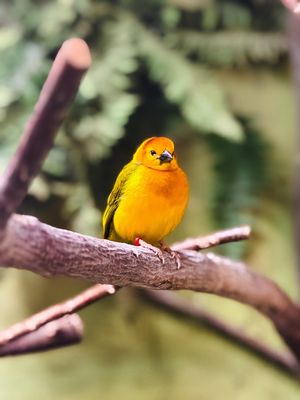 Image post by @bhamzoo on Instagram