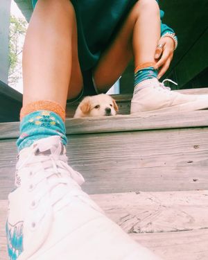Image post by @jordanranease on Instagram