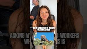 Video post by @barstooloutdoors on YouTube