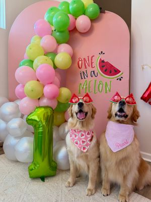 Image post by @pearl.the.golden.girl on Instagram