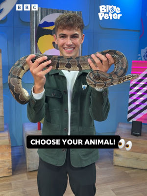 Video post by @cbbc on TikTok