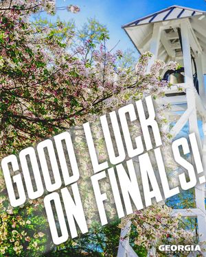 Image post by @uga_wbb on Instagram
